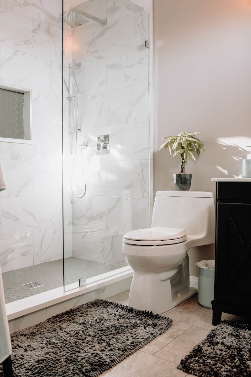 Bathroom cleaning
